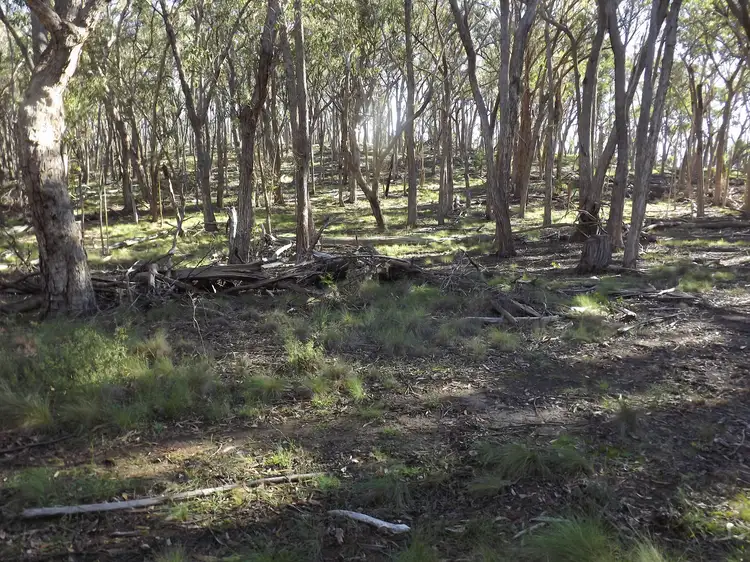 Fifth view of Homely rural property listing, 1527 New England Highway, Dundee NSW 2370