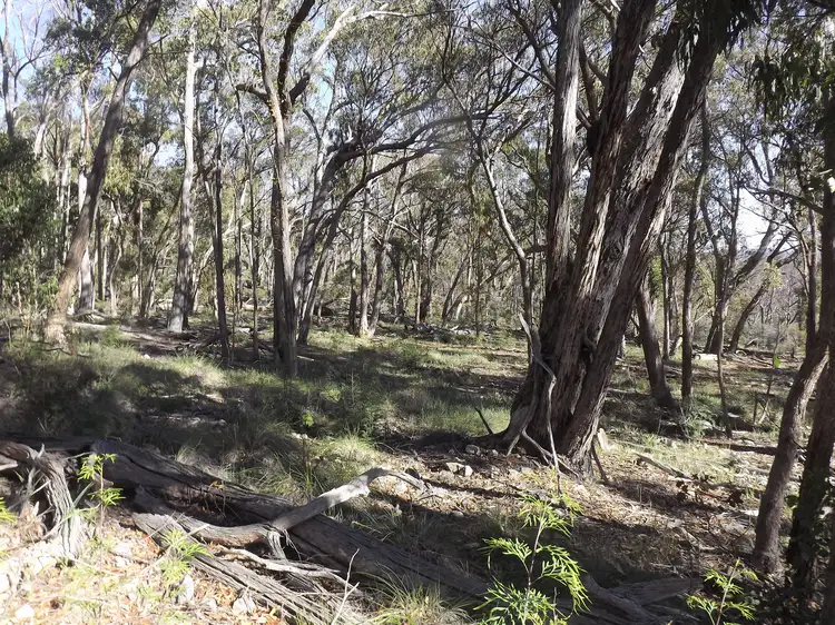 Sixth view of Homely rural property listing, 1527 New England Highway, Dundee NSW 2370