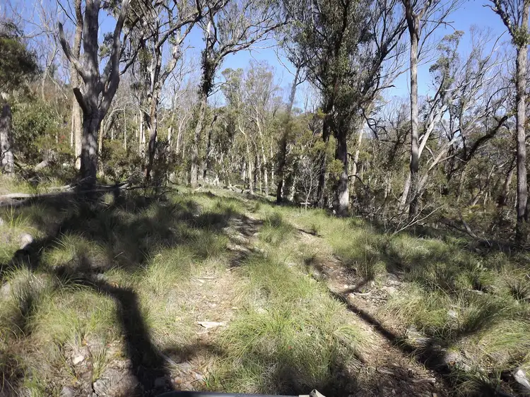 Seventh view of Homely rural property listing, 1527 New England Highway, Dundee NSW 2370