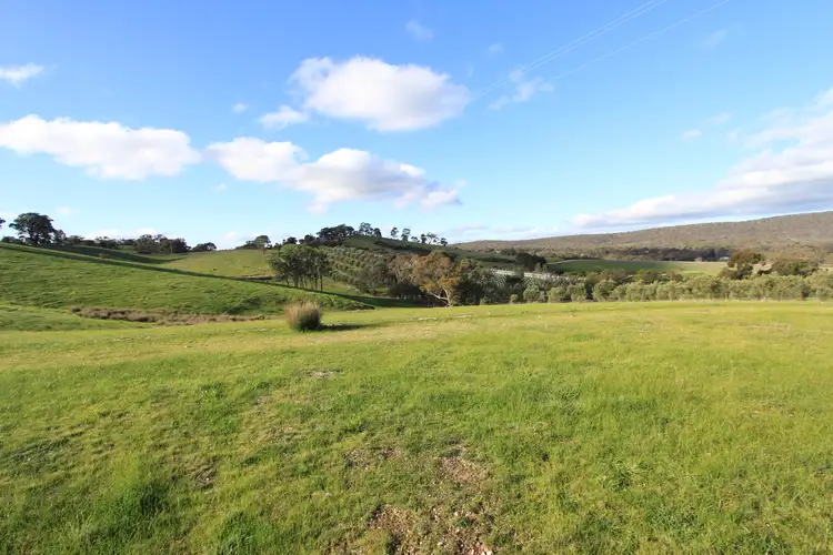 Third view of Homely rural property listing, LOT 3 Drummond Lane, Heathcote VIC 3523