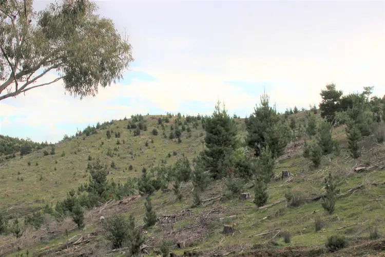 LOT 69 Mitchell Road, Tatong VIC 3673