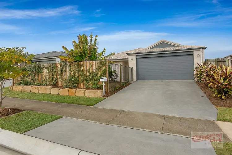 Main view of Homely house listing, 11 Cooper Drive, Collingwood Park QLD 4301