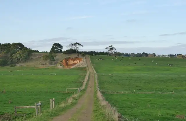 Main view of Homely rural property listing, 539 Hopkins Falls Road, Cudgee VIC 3265