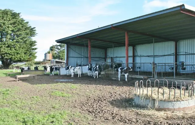 Sixth view of Homely rural property listing, 539 Hopkins Falls Road, Cudgee VIC 3265
