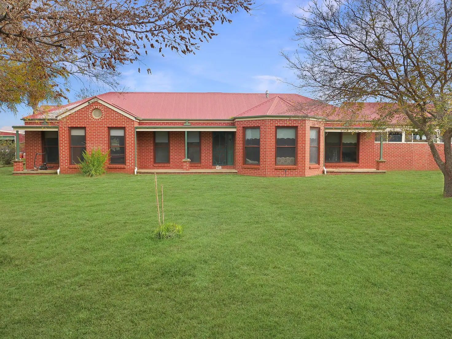 Main view of Homely rural property listing, 128 Toorak Road, Leeton NSW 2705