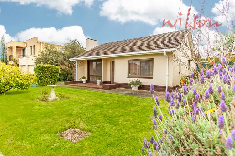 Main view of Homely house listing, 39 Wheaton Street, South Plympton SA 5038