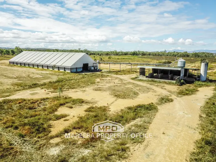 Fourth view of Homely rural property listing, 29 Kimalo Feedlot Access Road, Arriga QLD 4880