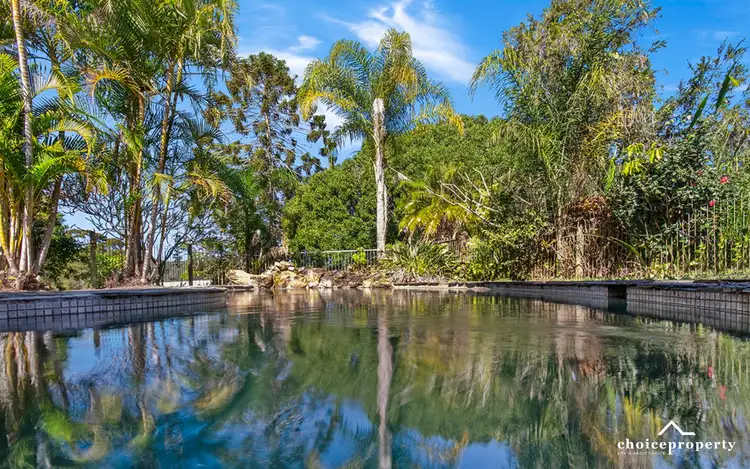 Fifth view of Homely rural property listing, 111 BROWNS ROAD, Belli Park QLD 4562