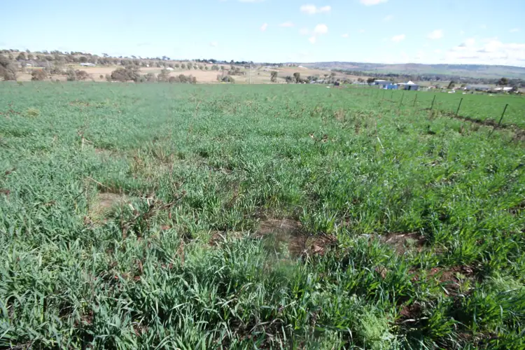 43-59 PRICES LANE, Merriwa NSW 2329