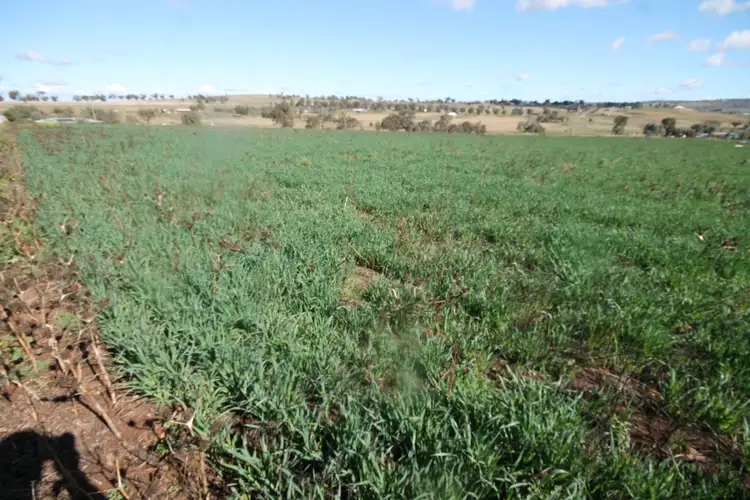 Second view of Homely rural property listing, 43-59 PRICES LANE, Merriwa NSW 2329