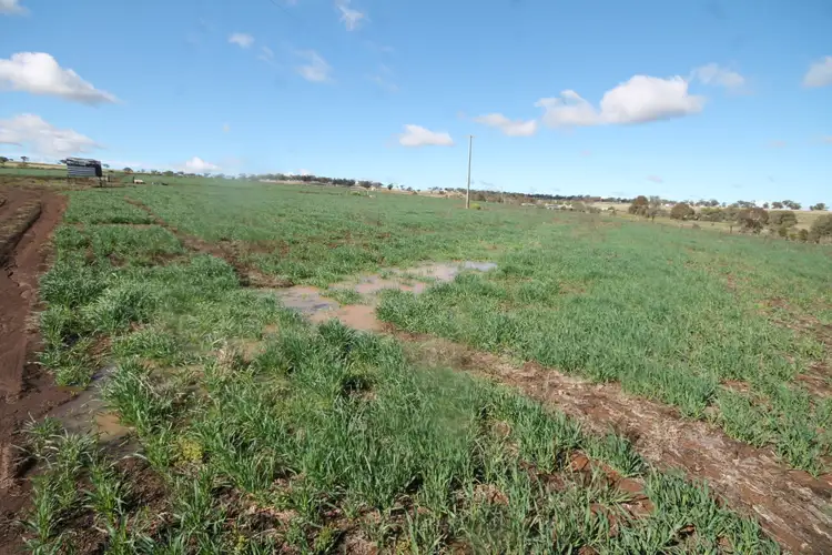 Sixth view of Homely rural property listing, 43-59 PRICES LANE, Merriwa NSW 2329