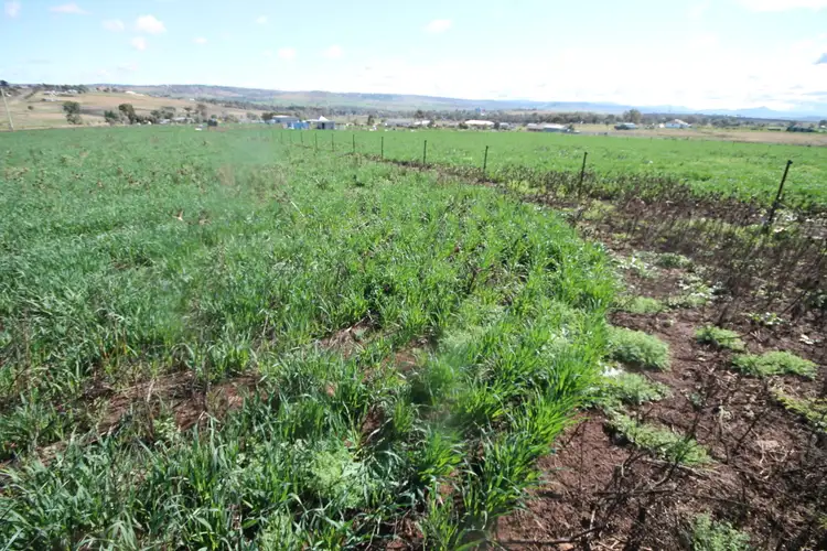 Seventh view of Homely rural property listing, 43-59 PRICES LANE, Merriwa NSW 2329