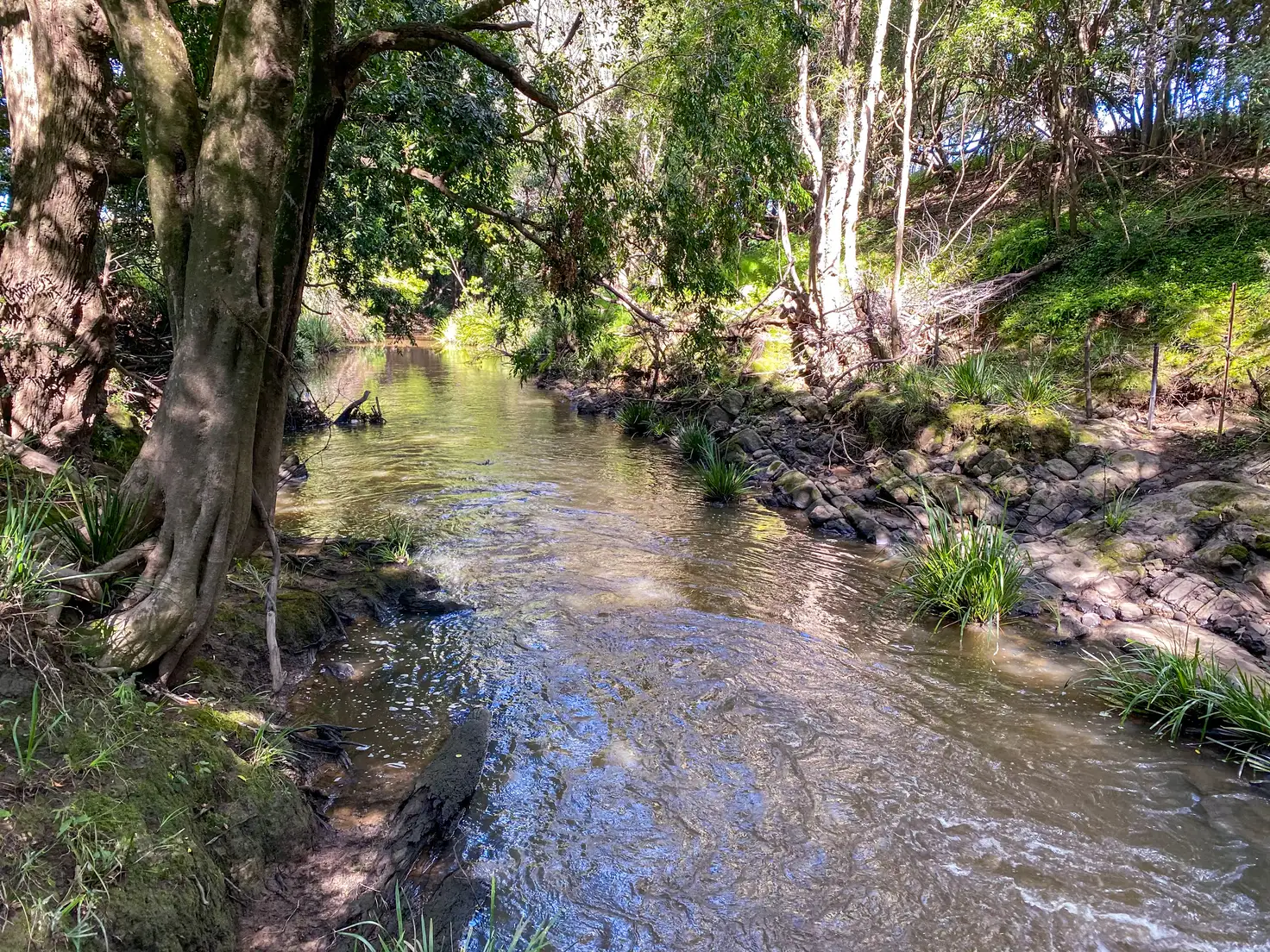 Main view of Homely rural property listing, 363 Youngs Road, Wingham NSW 2429