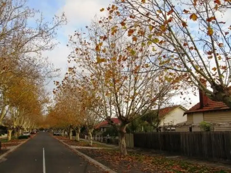 Third view of Homely house listing, 162 Bastings Street, Northcote VIC 3070