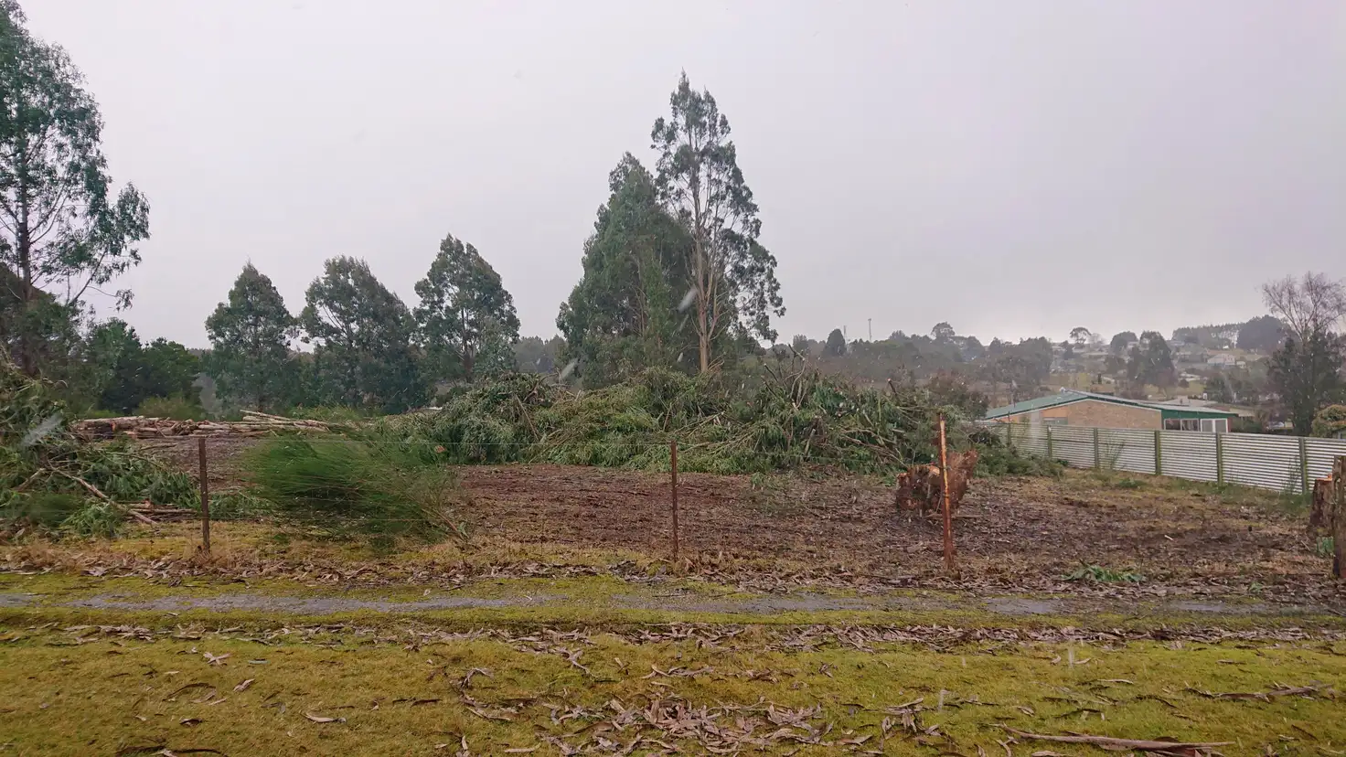 Main view of Homely land listing, LOT 1, 31 William, Waratah TAS 7321