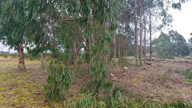 Third view of Homely land listing, LOT 1, 31 William, Waratah TAS 7321
