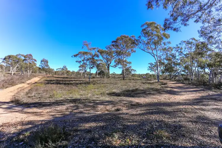 Fifth view of Homely rural property listing, 86 Paddy's Close, Lower Boro NSW 2580