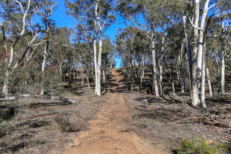 Seventh view of Homely rural property listing, 86 Paddy's Close, Lower Boro NSW 2580