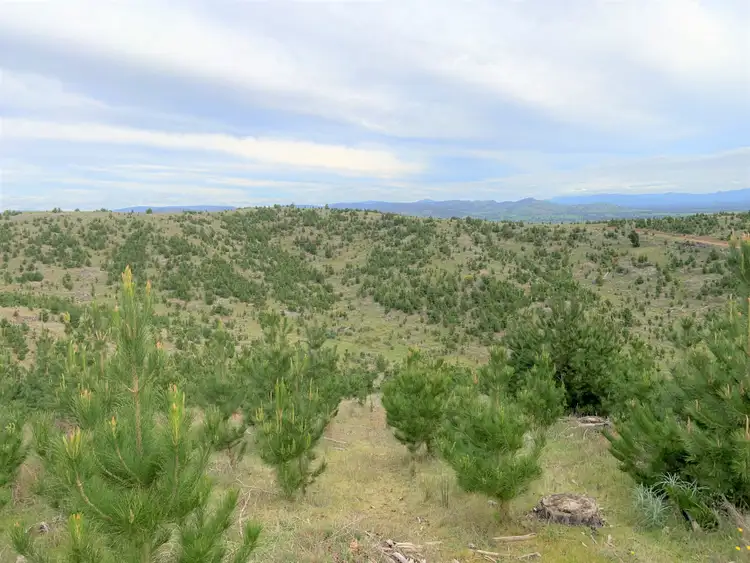 Second view of Homely land listing, LOT 2 Bostock Road, Lurg VIC 3673