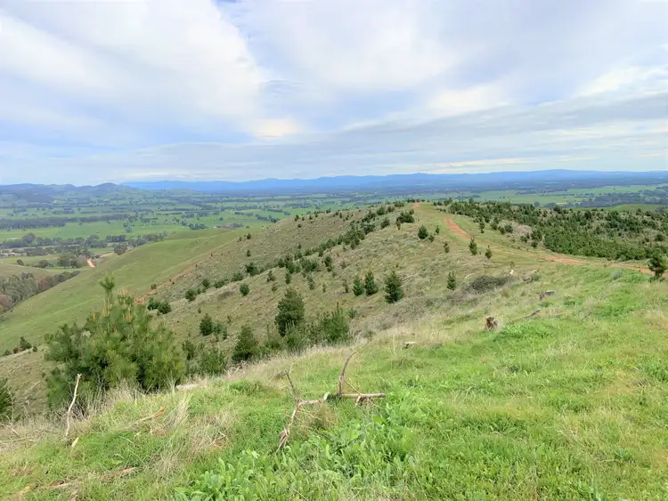 Second view of Homely land listing, LOT 4 Green Road, Lurg VIC 3673