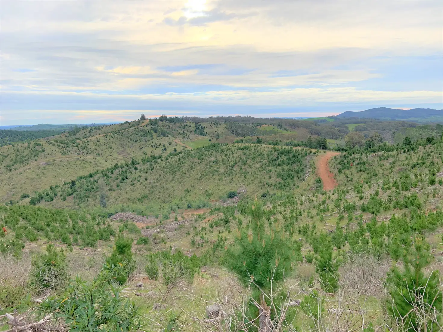 Main view of Homely land listing, LOT 5 Green Road, Lurg VIC 3673
