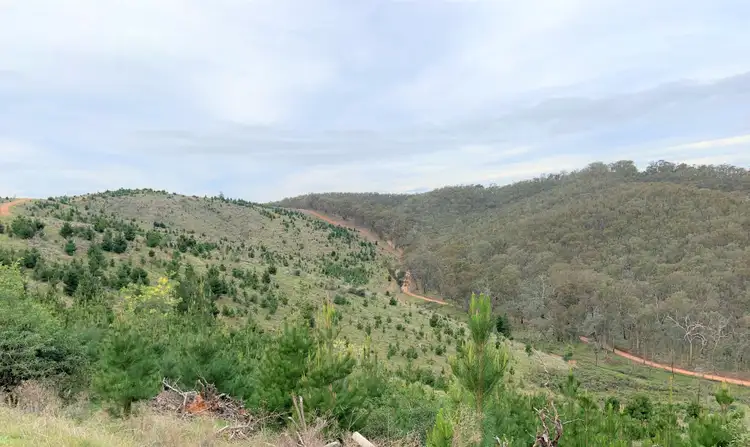 Second view of Homely land listing, LOT 5 Green Road, Lurg VIC 3673