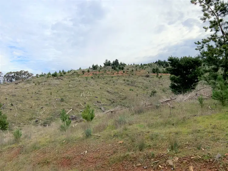 Sixth view of Homely land listing, LOT 5 Green Road, Lurg VIC 3673