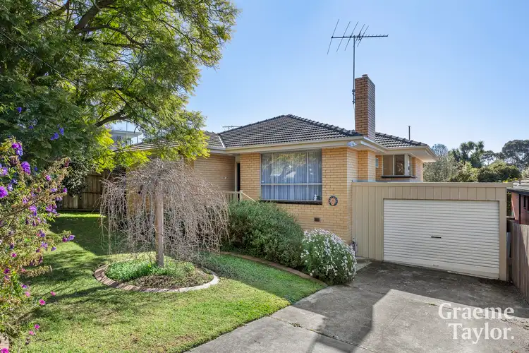Main view of Homely house listing, 16 Albert Terrace, Belmont VIC 3216