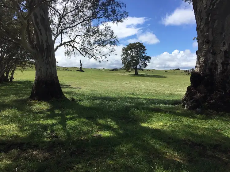 LOT 159 Eden Valley Road, Springton SA 5235