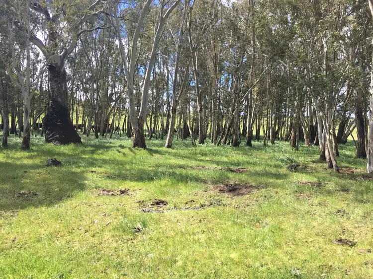 Second view of Homely rural property listing, LOT 159 Eden Valley Road, Springton SA 5235