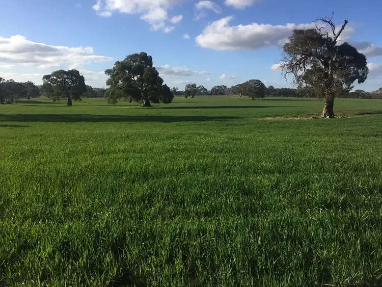 Third view of Homely rural property listing, LOT 52 Jutland Road, Springton, Springton SA 5235