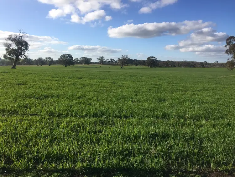 Fourth view of Homely rural property listing, LOT 52 Jutland Road, Springton, Springton SA 5235
