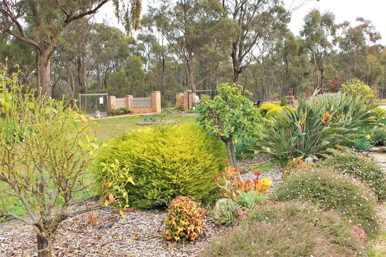 Second view of Homely house listing, 13 Morrison Court, Heathcote VIC 3523
