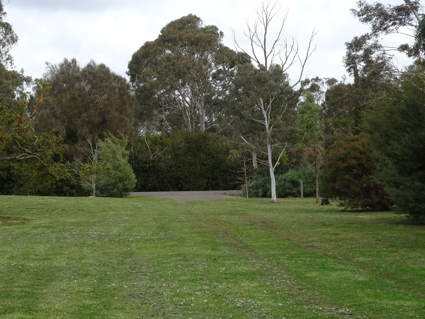 Main view of Homely land listing, 12 Matheson Road, Millicent SA 5280