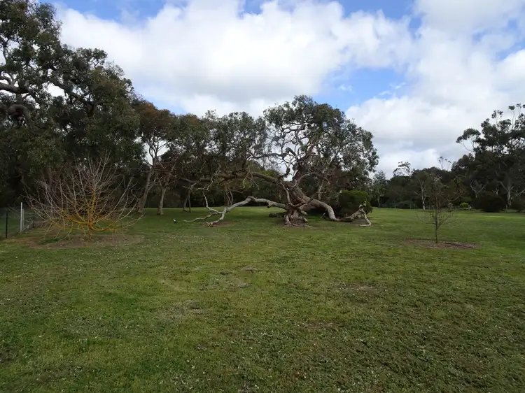Third view of Homely land listing, 12 Matheson Road, Millicent SA 5280