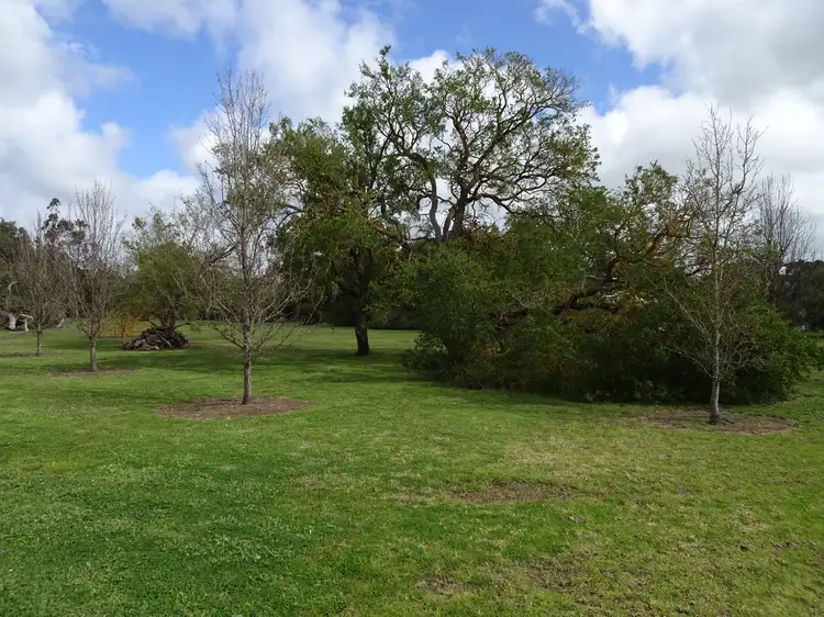 Sixth view of Homely land listing, 12 Matheson Road, Millicent SA 5280