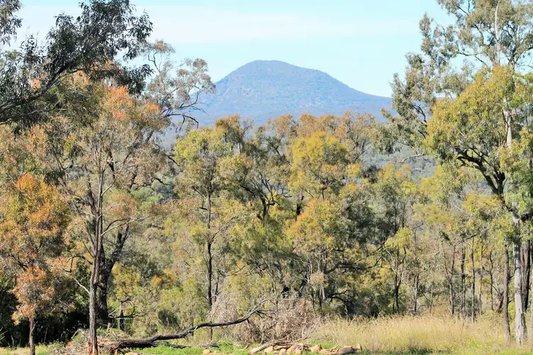 Fourth view of Homely rural property listing, 3239 GOLDEN HIGHWAY, Gungal NSW 2333