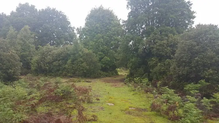 Fourth view of Homely land listing, LOT 01 Waratah Road, Waratah TAS 7321