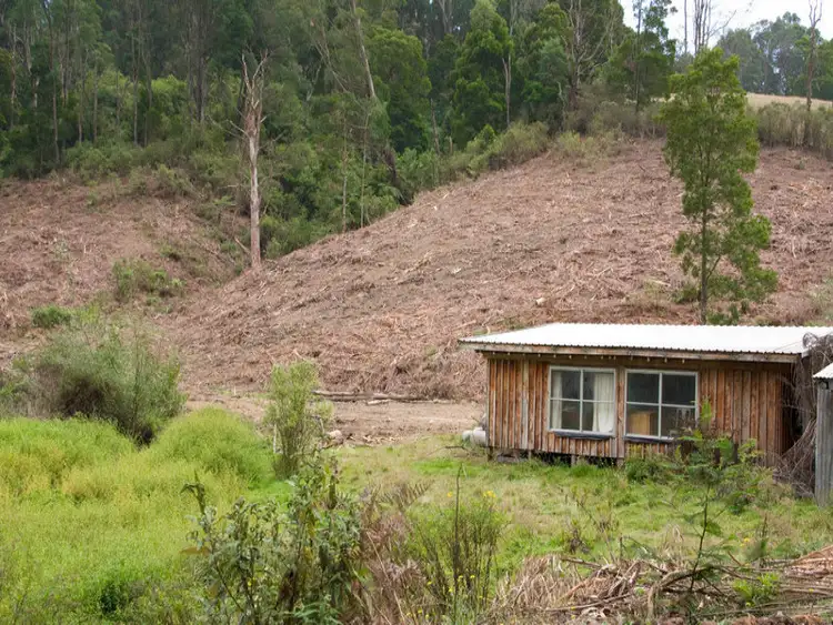 Fifth view of Homely rural property listing, Lot 1 Van Ess Road, Ferndale VIC 3821