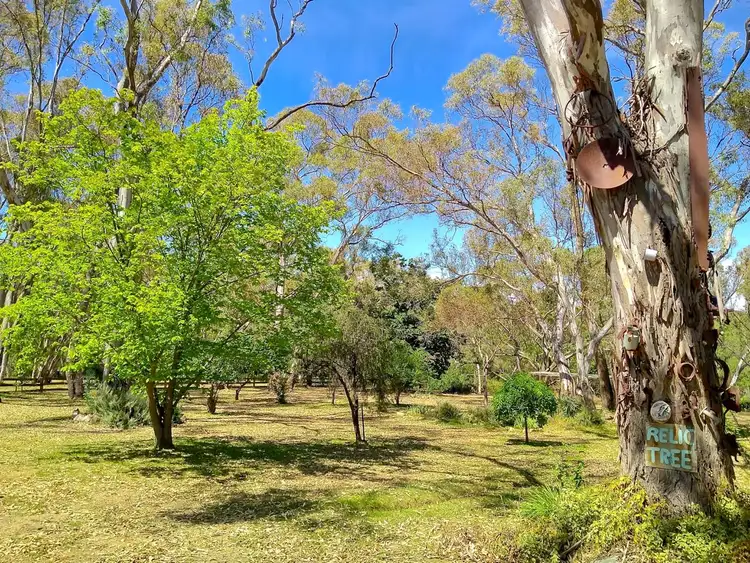 Fifth view of Homely house listing, 81 Forest Drive, Heathcote VIC 3523