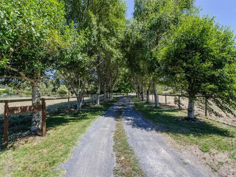 Third view of Homely rural property listing, 584 BUCHANAN ROAD, Worrolong SA 5291
