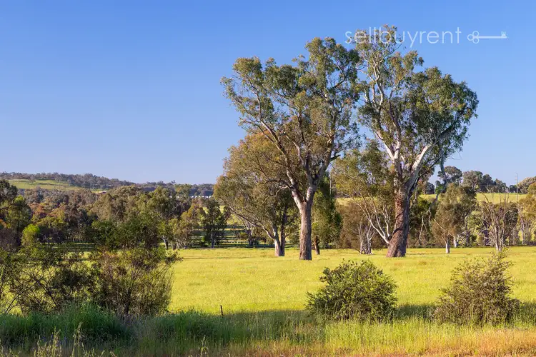 Fourth view of Homely house listing, 22 BARNETT AVENUE, Thurgoona NSW 2640