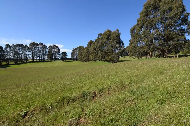 Fourth view of Homely rural property listing, 920 Murchison Highway, Elliott TAS 7325