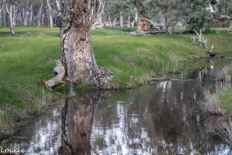 Fifth view of Homely rural property listing, 1704 Henty Highway, Mockinya VIC 3401