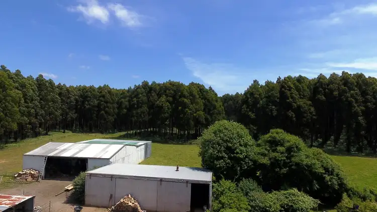 Fourth view of Homely house listing, 2184 Trowutta Road, Trowutta TAS 7330