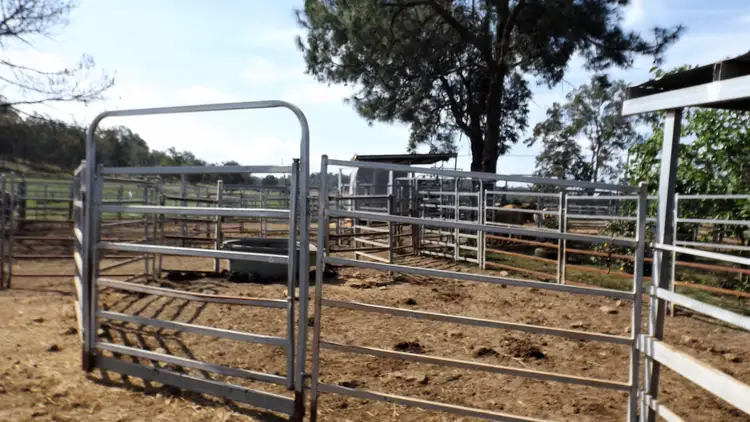 Third view of Homely rural property listing, 250 Bennetts Road, Dobies Bight NSW 2470