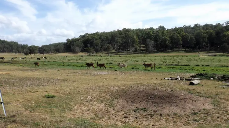 Sixth view of Homely rural property listing, 250 Bennetts Road, Dobies Bight NSW 2470