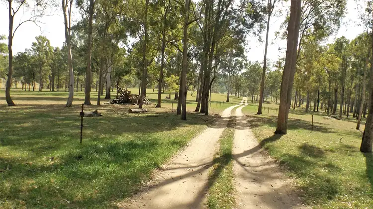 Seventh view of Homely rural property listing, 250 Bennetts Road, Dobies Bight NSW 2470