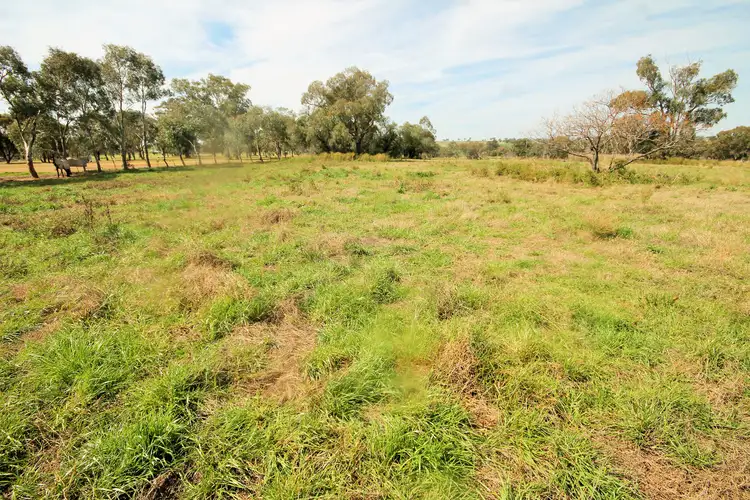 LOT 101 Golden Highway, Merriwa NSW 2329