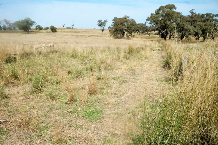 LOT 132 Hall Road, Merriwa NSW 2329
